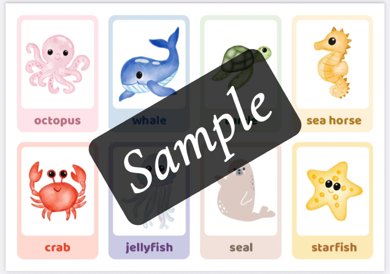 Ocean Lesson Plan